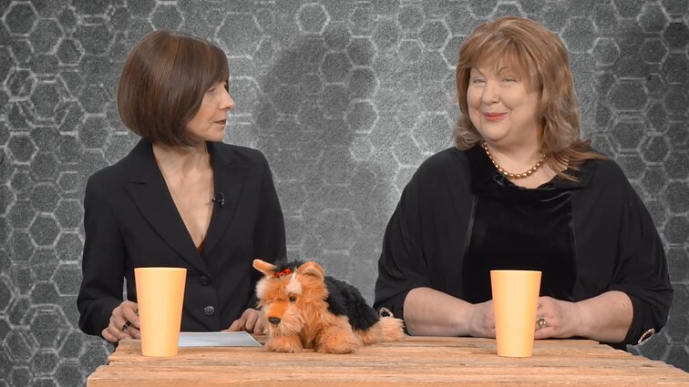 Dviračio žinios. Vilija Blinkevičiūtė: aš nebesu ta jauna, naivi Vilija iš Linkuvos gimnazijos