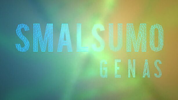 Diktatūra nuo A iki Z: kaip į valdžią ateina diktatoriai, kuo pasižymi modernios diktatūros ir kada jos žlunga?