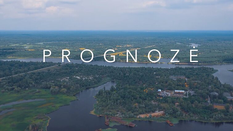 Karo Ukrainoje pasekmės šalies gamtai: kyla miškų gaisrai, cheminėmis medžiagomis užteršiamas dirvožemis