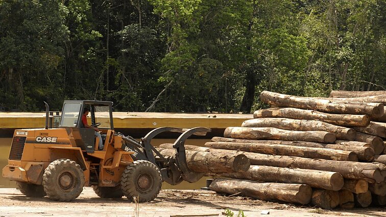 Trys didžiausios pasaulio jautienos gaminių pakuotojos siejamos su neteisėtu medžių kirtimu Brazilijoje