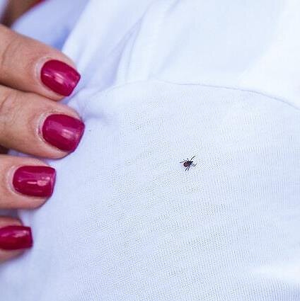 Ryto garsai. Vis daugiau žmonių nemokamai galės pasiskiepyti nuo įvairių ligų