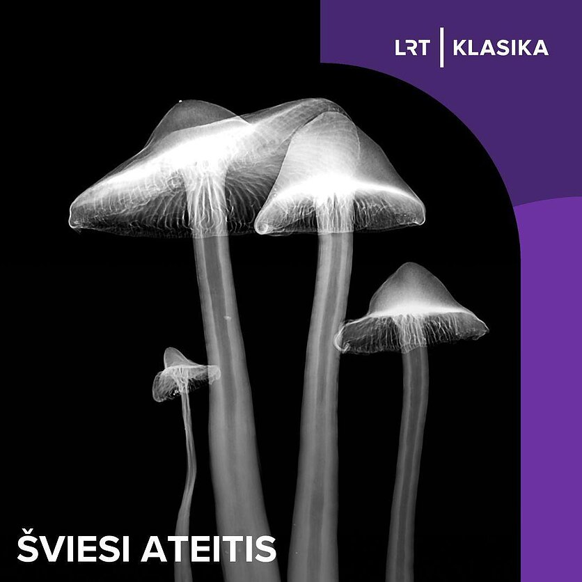 LRT fotomontažas/Unsplash/M. Schwart nuotr., Šviesi ateitis. Grybai ir inovacijos: kaip šie unikalūs organizmai gali skaidyti teršalus ir kurti muziką