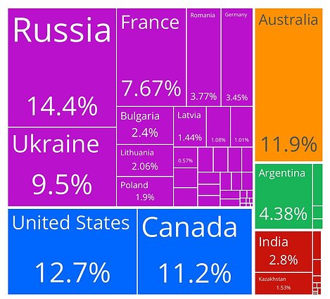 Постачання зерна на ринок Євросоюзу