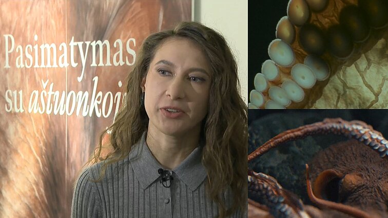 Rašytoja kviečia į pasimatymą su aštuonkoju: 20 minučių trunkančią meditaciją lankytojai patiria lyg sapną