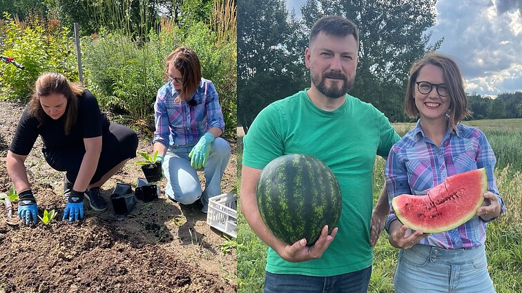 Molingas sklypas – ne kliūtis: sunkiai įkasamame molyje Galvonų šeima sugebėjo išauginti ir gėlynus, ir arbūzus