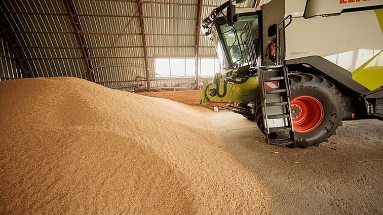 Mačiulis apie svyravimus grūdų rinkoje: Ukraina nėra to kaltininkė
