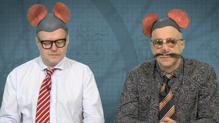 Peliukai apie viceprezidento pareigybę Lietuvoje: palengvintų pasirinkimą prezidento rinkimuose?
