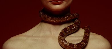 Vaido Baumilos klipo filmavimo akimirka