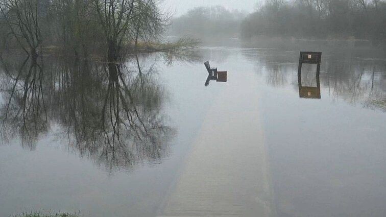 Nuo savo vėžių nušokantis Nevėžis: kas vyksta su Maironio aprašyta Vidurio Lietuvos upe?