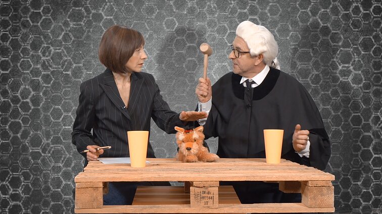 Dviračio žinios. Teisėjas apie sugriežtėjusius teismų nuosprendžius: susiėmėm