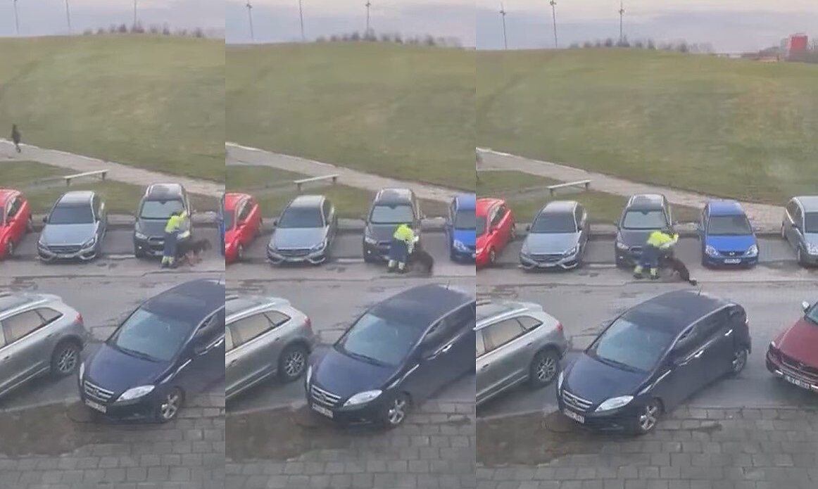 Smurtas prieš šunį Klaipėdoje