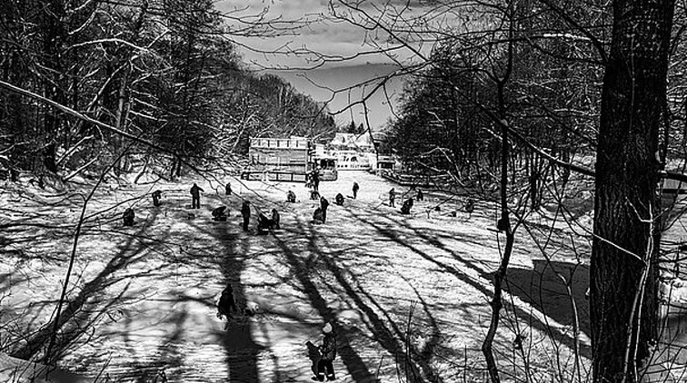 Kitoks Sigito Parulskio kūrybinis veidas – debiutinėje fotografijų parodoje