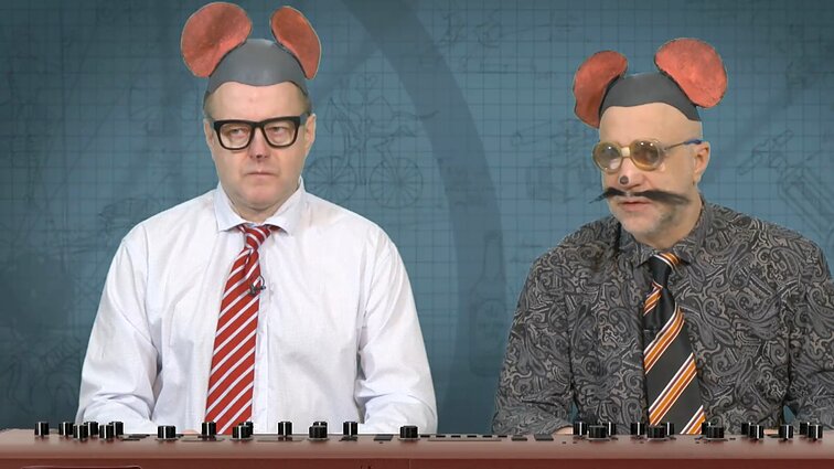 Peliukai apie kalbininkus: būtina riboti kontaktus su užsieniu ir nuolat testuoti?