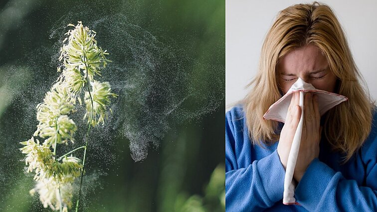 Kai šylančiu oru džiaugtis sunku: gydytoja patarė, kaip atpažinti ir valdyti pavasarines alergijas