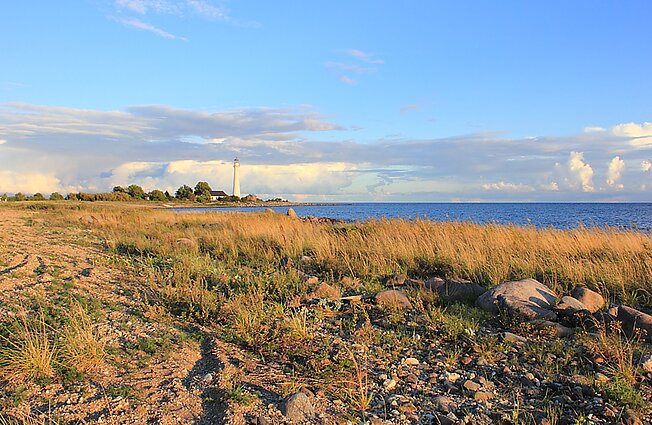  Wybrzeże Kihnu