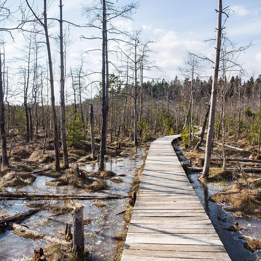 L. Balandžio/BNS nuotr., Dubravos rezervatinė apyrubė 