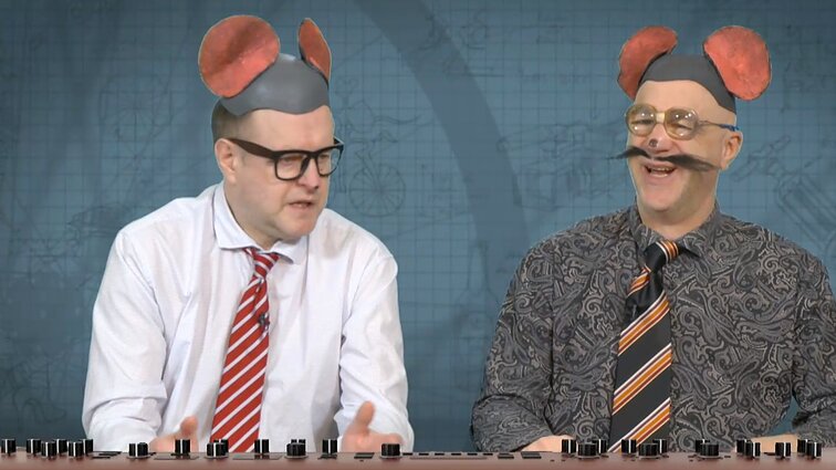 Peliukai apie apklausą, kuri parodė, kad Lietuvą nuo Rusijos gintų kas antras vokietis: vis dar egzistuoja dvi Vokietijos?