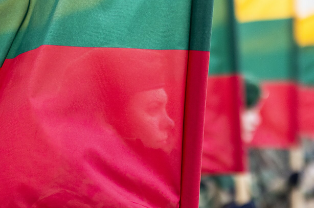 Klaipėdoje penktadienio rytą fiksuoti bent keturi Lietuvos valstybinių vėliavų išniekinimo atvejai