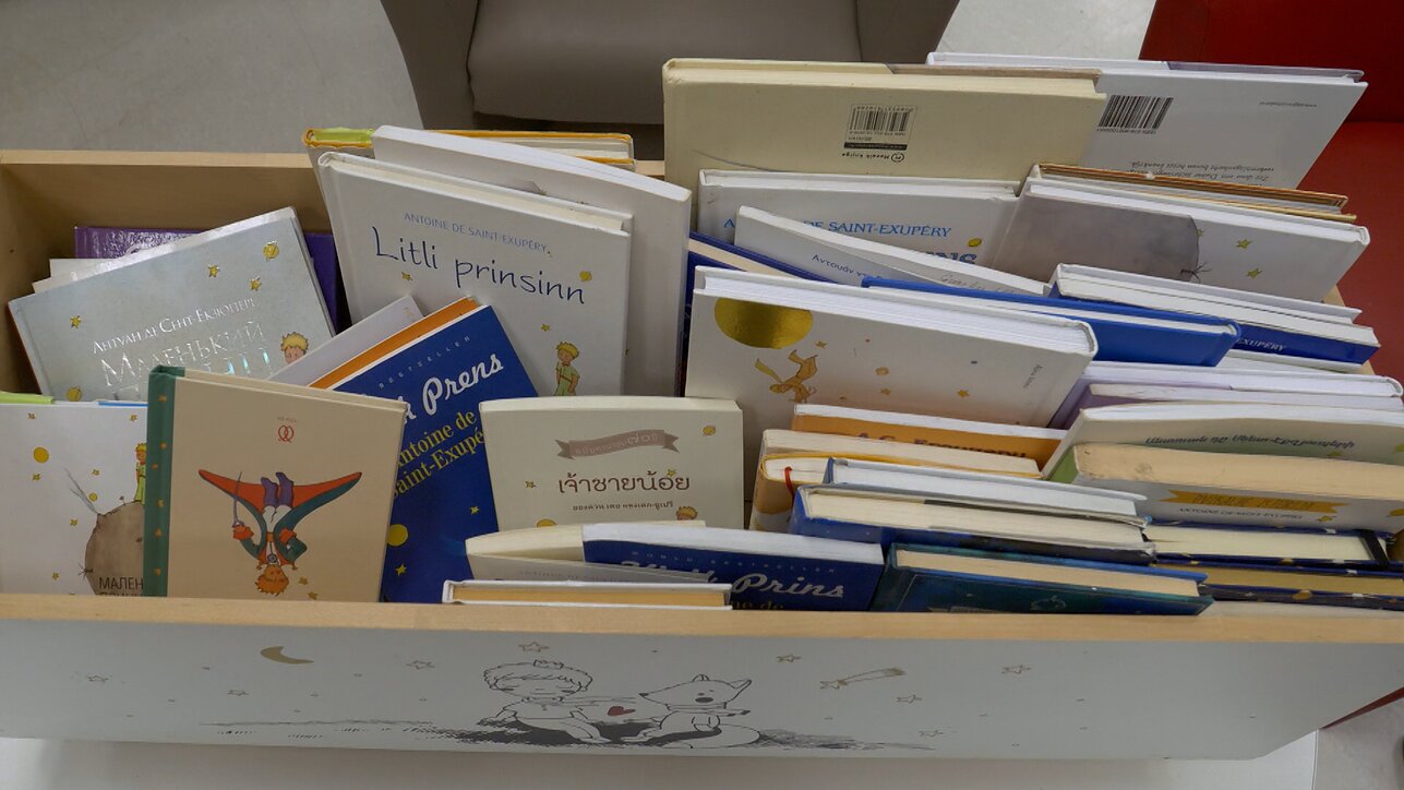 Aistės Žalevičienės „Mažojo princo“ kolekcija