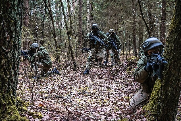 Siūlo mažinti ginklų dalių gamybos ribojimus: taip tikimasi panaikinti biurokratizmą ir spartinti gynybos produkciją