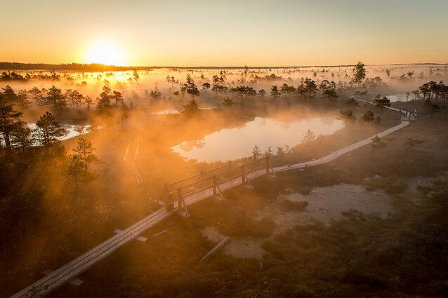 Park Narodowy Kemeri