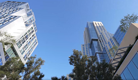 Neringa Šiaudikytė