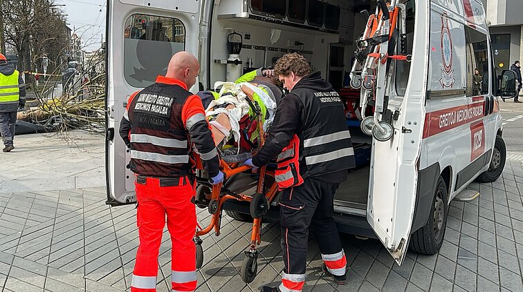 Nelaimė Kaune: Laisvės alėjoje sodinant liepas ant darbuotojo užvirto medis