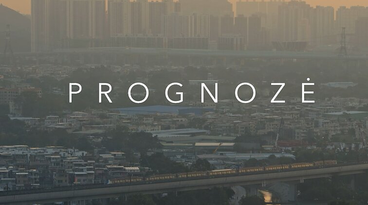 Beveik nematome, bet jaučiame visi: oro taršos poveikis organizmui