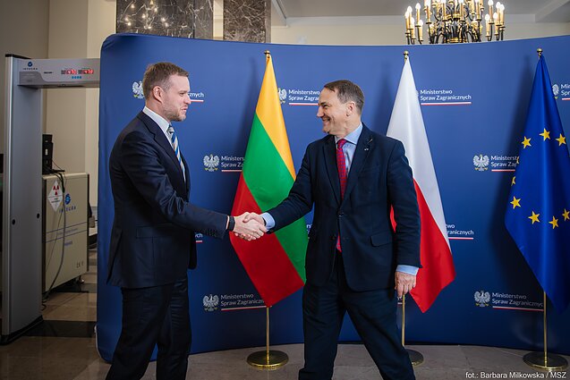 Gabrielius Landsbergis i Radosław Sikorski