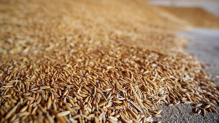 „Stop Briuselio diktatūrai“: ūkininkai Europoje ragina stabdyti besaikį grūdų importą iš Rytų