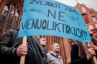 Vienuoliktokai piketuoja prieš tarpinius patikrinimus
