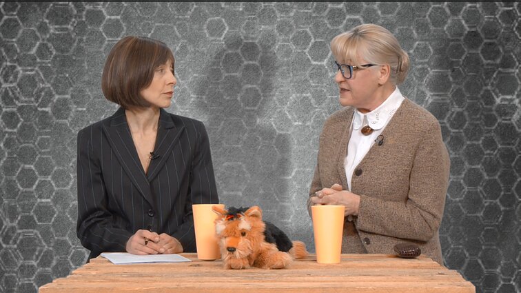 Dviračio žinios. Panelė mokytoja apie vaikų kišenpinigius: formuojama nauja oligarchinio elito klasė?