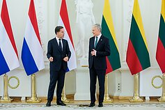 Gitano Nausėdos ir Marko Rutte susitikimas