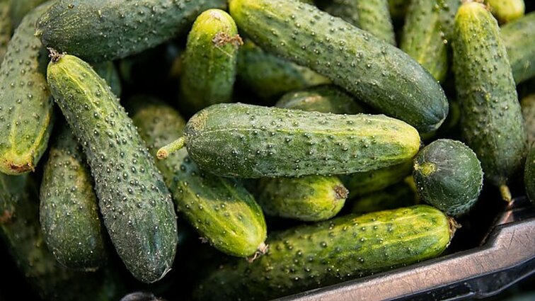 Iš Rusijos plūstančios daržovės pirkėjams parduodamos kaip lenkiškos