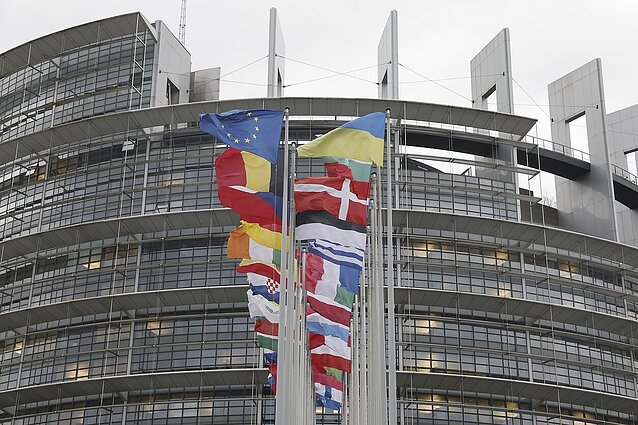 Rusijos įtakos tinklas Europoje: už Maskvos propagandos skleidimą – kyšiai politikams