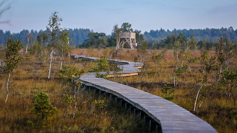 Vietinio turizmo ekspertė tikina – pažintinių takų bumas neslūgsta: apetitas auga bevalgant