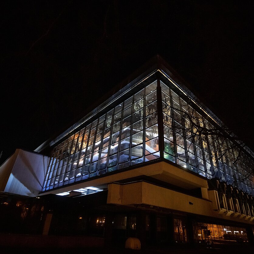 D. Umbraso  / LRT nuotr., apšviestas Operos ir baleto teatras specialiai Eurovizijos transliacijai