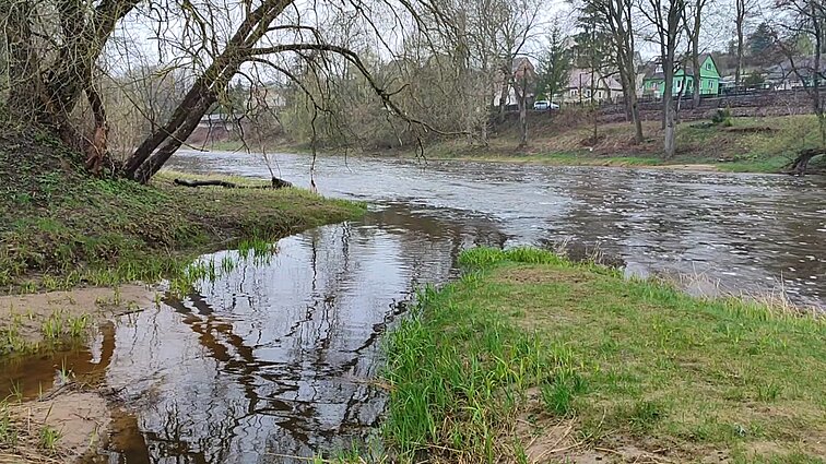 Šventosios upėje Anykščiuose aptikta teršalų: vietiniai kaltina buvusios ligoninės teritoriją
