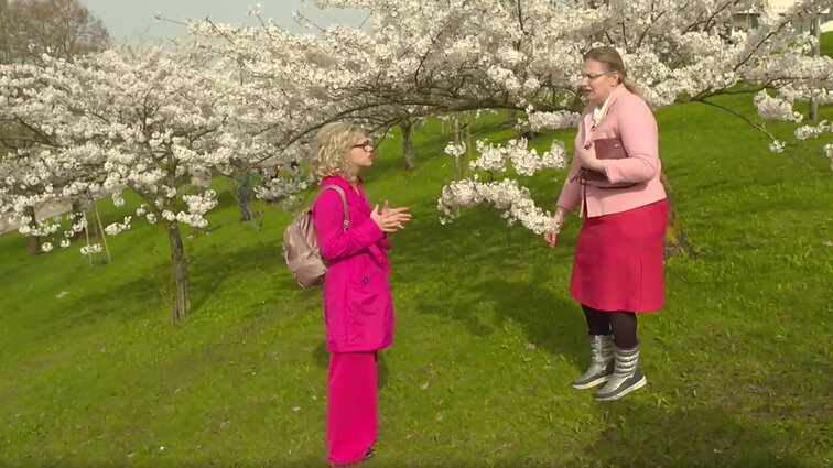 Dviračio žinios. Armonaitė Širinskienei: mums trūksta tokio žmogaus kaip jūs!