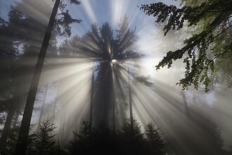 Magiškas realizmas / Asociatyvi nuotrauka