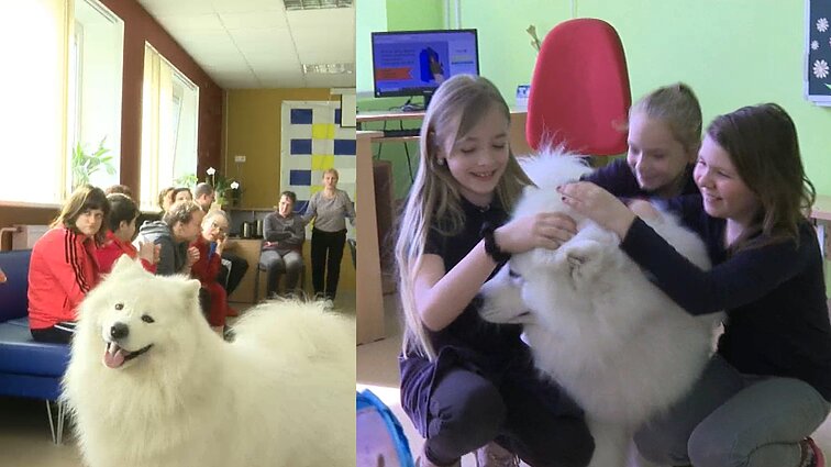 Ne tik geriausias draugas, bet ir gydytojas: rokiškėnams pagalbą teikia terapinis šuo Setas