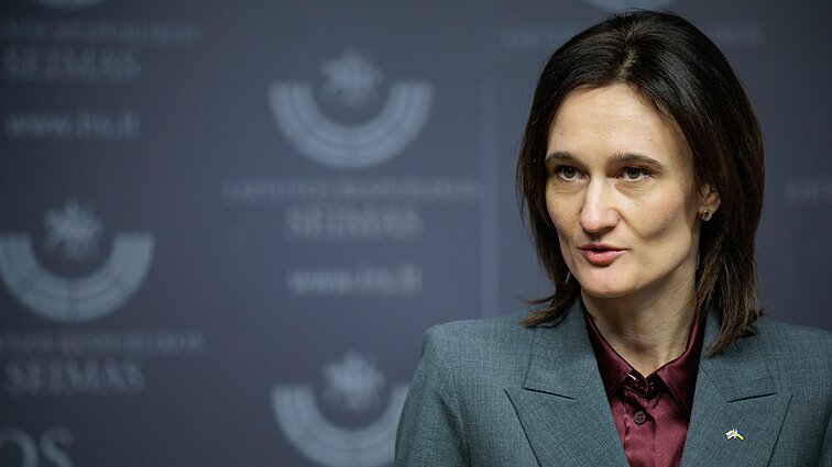 Čmilytė-Nielsen: pateisinu tai, jog atsakingai yra ieškoma kandidato į švietimo ministrus