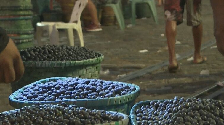 Kodėl vietiniai Brazilijos gyventojai acai uogas vadina verkiančiomis?
