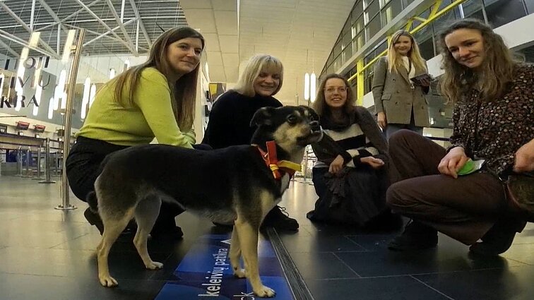 Terapiniai šunys skrydžio baimei valdyti jau ir Vilniuje: kinologas tikina – keturkojis perims emocijas