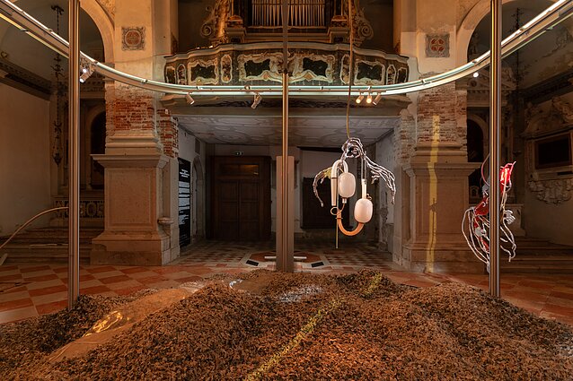 Lietuvos nacionalinis paviljonas Venecijos šiuolaikinio meno bienalėje. „Pakui Hardware“ ir Marijos Teresės Rožanskaitės paroda „Uždegimas“, 2024