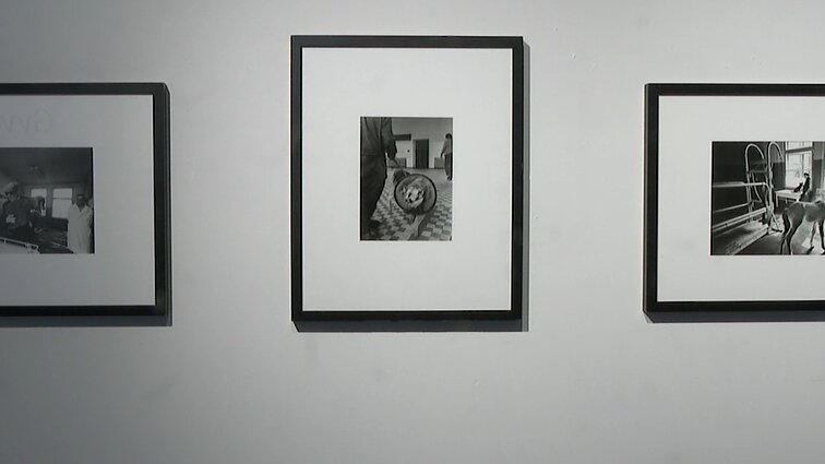 Kauno fotografijos galerijoje atidaryta fotomenininko Macijausko paroda „Gyventi“