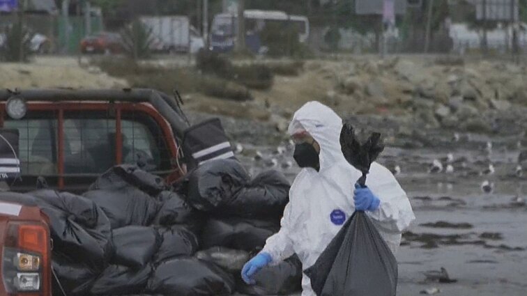PSO perspėja dėl paukščių gripo atmainos, pavojingos ir žmonėms