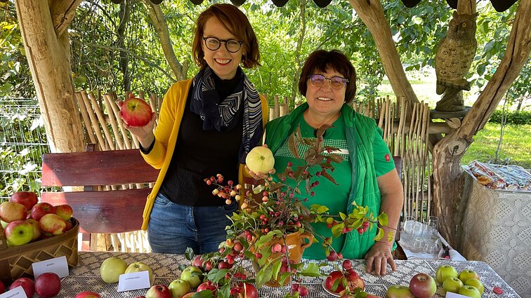Saldūs, rūgštūs, atsparūs šalčiams: agronomė supažindino su įvairiausiomis obuolių rūšimis