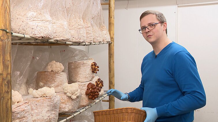 „Buvo labai sunkus sprendimas“: jauna šeima samdomus darbus iškeitė į grybų auginimą