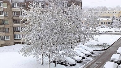 Snow in Utena